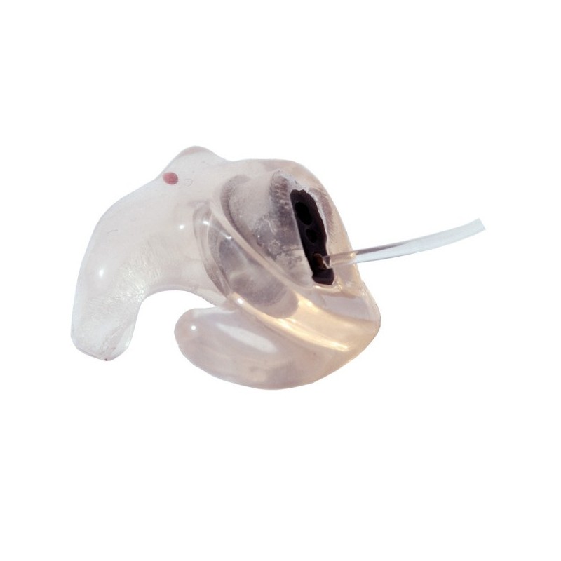 Bouchons moulés sur mesure EAR PRO ULTRA COMPACT qualité professionnelle Champion Direct