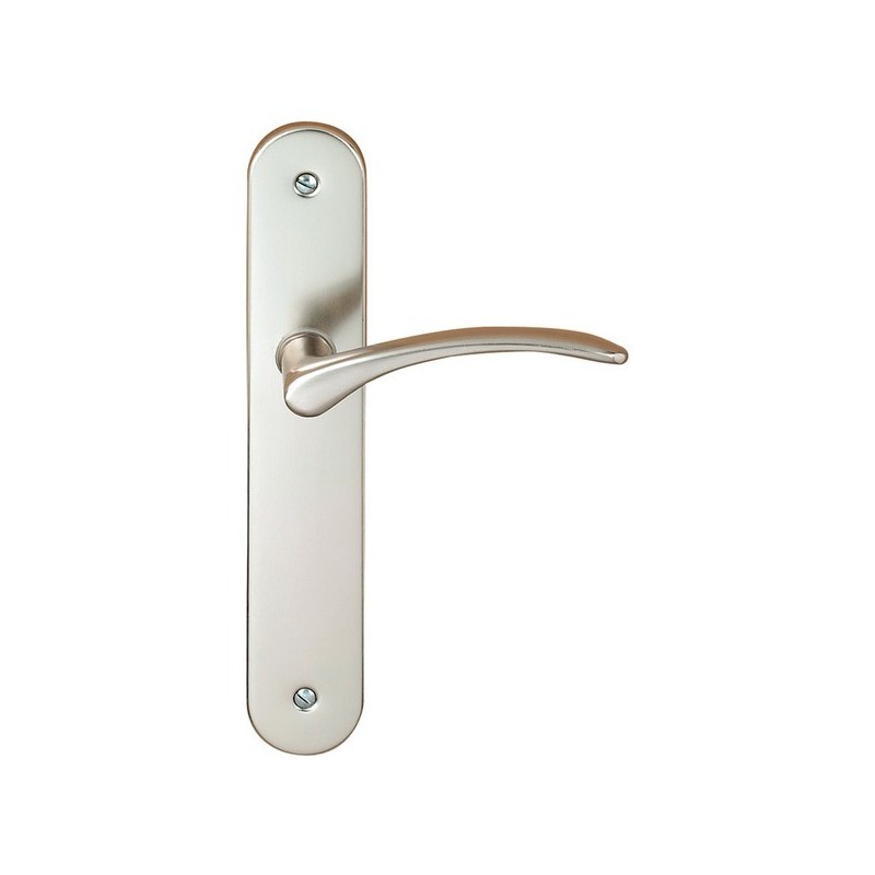 Ensembles poignées diane poignées diane sur plaque 195 mm aluminium inox cd+dc 7 mm 195 mm chp_fonct