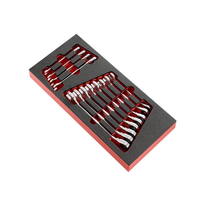 Module mousse de clés mixtes à cliquet module mousse de clés mixtes à cliquet 1 jeu(x) de 12 pièce(s