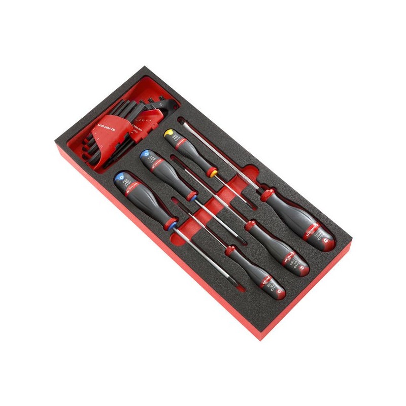 Module mousse tournevis protwist®, clés mâles et torx® module mousse tournevis protwist®, clés mâles