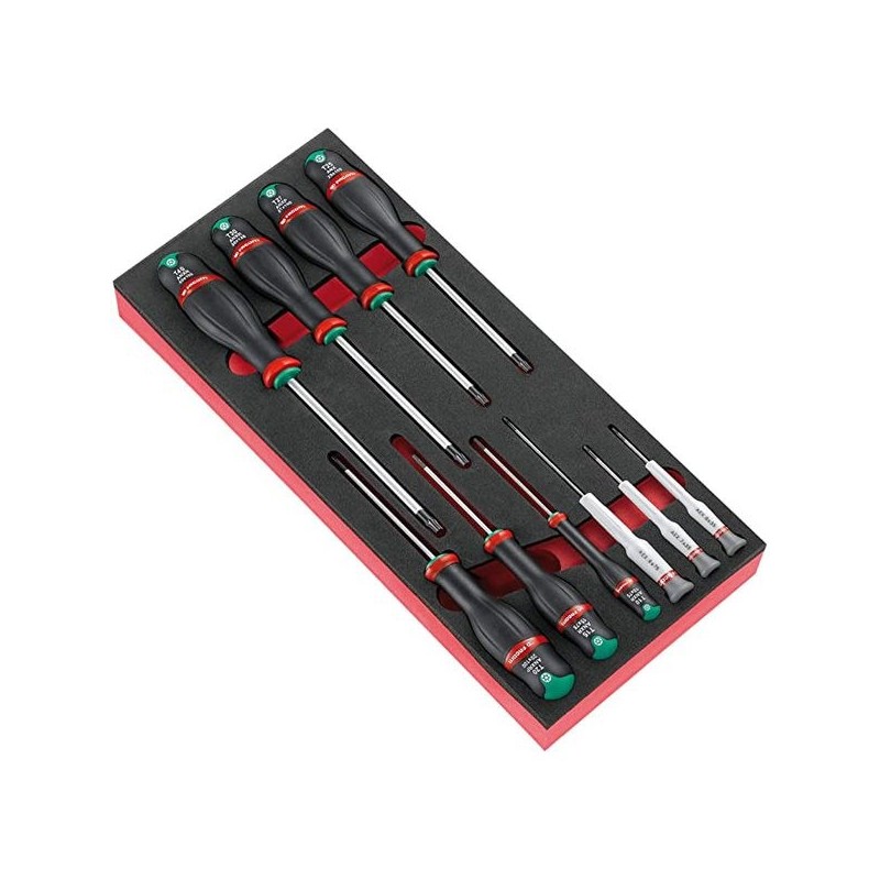 Module mousse tournevis protwist® torx® et microtech® 1 jeu(x) de 10 pièce(s) module mousse tournevi