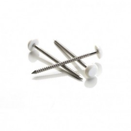Pointes tête ronde plastifiée - Inox