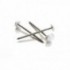 Pointes tête ronde plastifiée - Inox