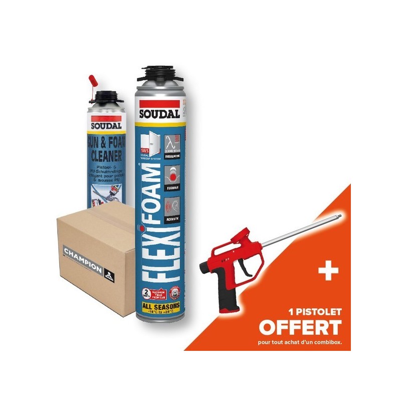 Lot 10 aérosols flexifoam gun + 1 nettoyant + 1 pistolet pistolable non polyuréthane interieur, exte