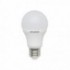 Ampoule Toledo GLS -