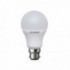 Ampoule Toledo GLS -