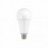 Ampoule Toledo GLS -