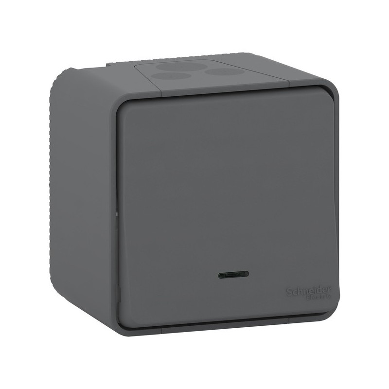 Interrupteur étanche en saillie mureva bouton poussoir lumineux mureva gris 1 pièce(s) - schneider