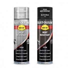 Peinture hautes températures 750° en aérosol HARD HAT®