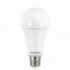 Ampoule Toledo GLS