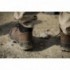 Chaussures de sécurité NOUMEA