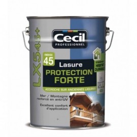 Lasure protection forte LX545+