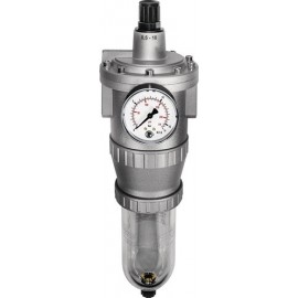 Régulateur de filtre standard RIEGLER