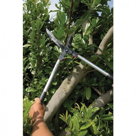 Cisailles à haies traditionnelle 57 cm