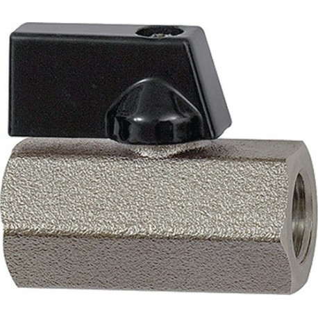 Lot mini-robinet à boisseau sphérique VALUE LINE RIEGLER