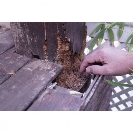 Enduit REPAR'BOIS en poudre