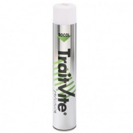Peinture de marquage TRAITVITE PRECISION