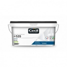 Peinture aspect satin PE S35