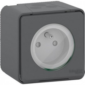 Prise 2P+T MUREVA gris en saillie